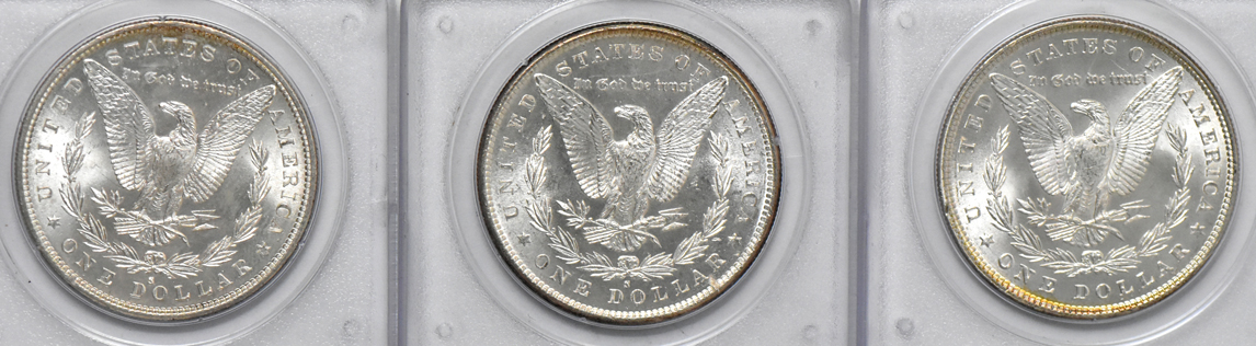 Seven BU Morgan dollars, all PCGS (rattler)