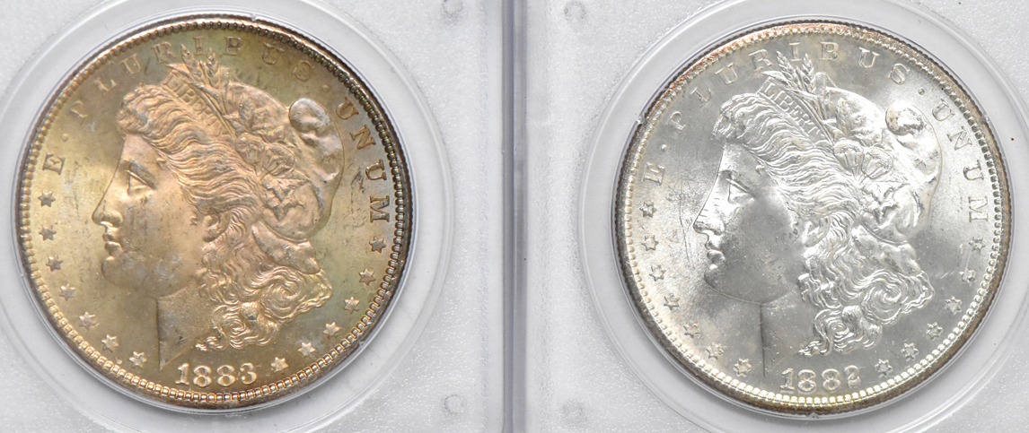 Seven BU Morgan dollars, all PCGS (rattler)