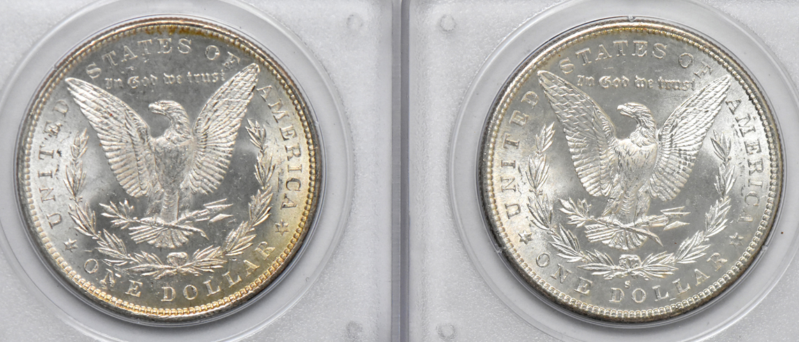 Seven BU Morgan dollars, all PCGS (rattler)