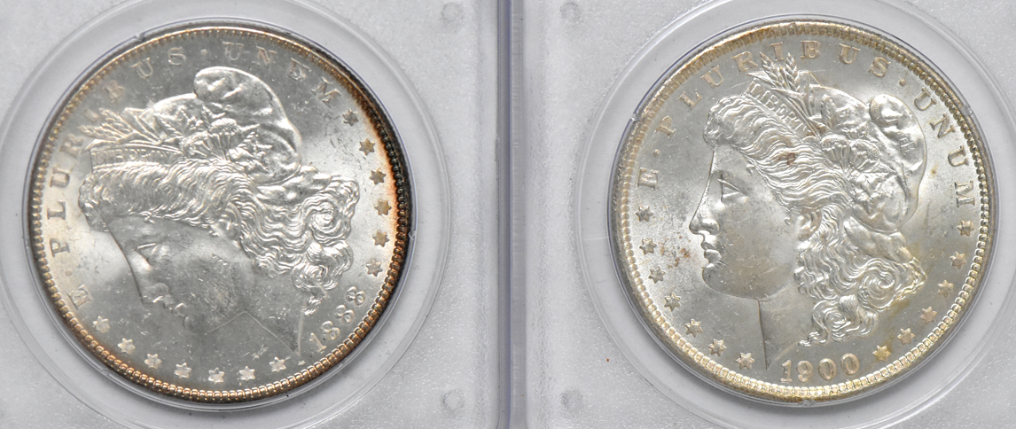 Seven BU Morgan dollars, all PCGS (rattler)