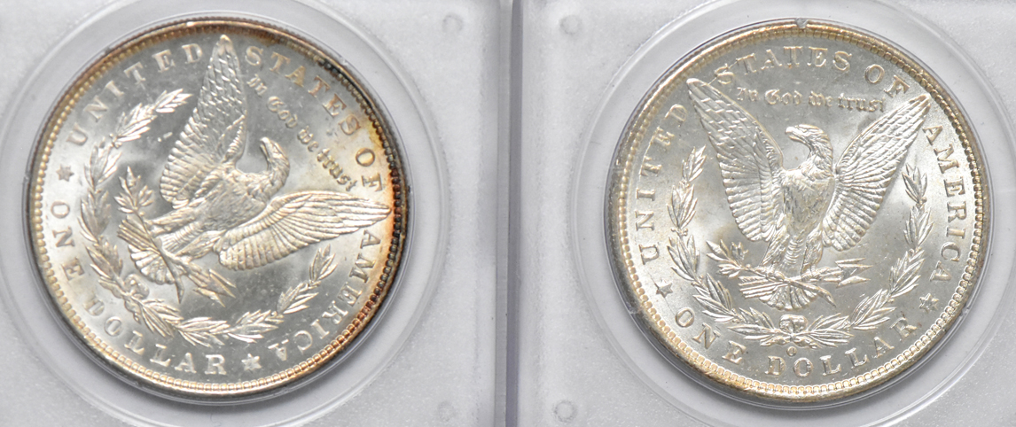 Seven BU Morgan dollars, all PCGS (rattler)