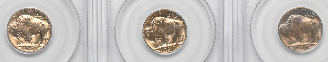 Eleven GemBU 1938-D Buffalo nickels, all PCGS (green label)