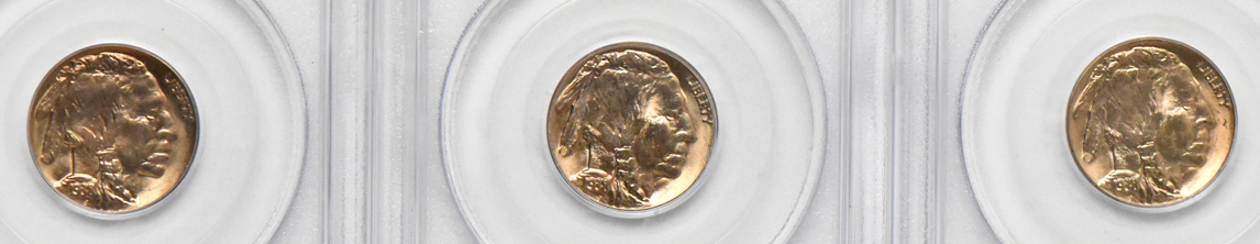 Eleven GemBU 1938-D Buffalo nickels, all PCGS (green label)