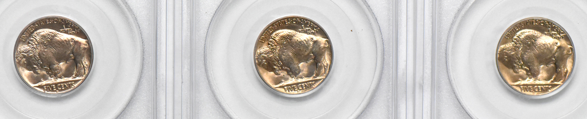 Eleven GemBU 1938-D Buffalo nickels, all PCGS (green label)