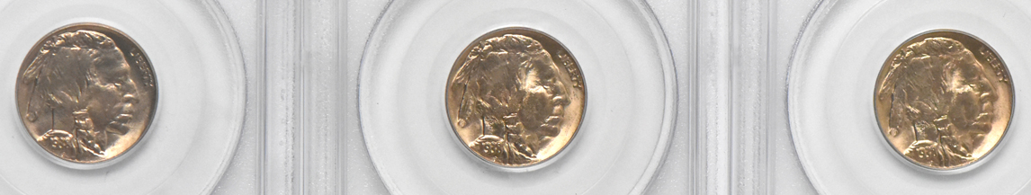 Eleven GemBU 1938-D Buffalo nickels, all PCGS (green label)