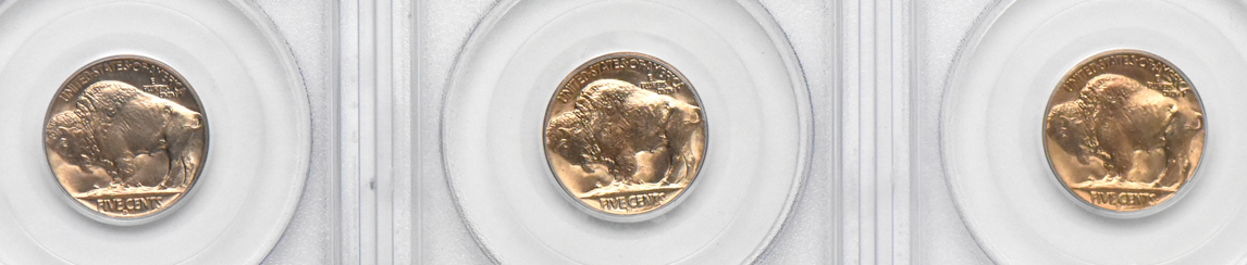 Eleven GemBU 1938-D Buffalo nickels, all PCGS (green label)