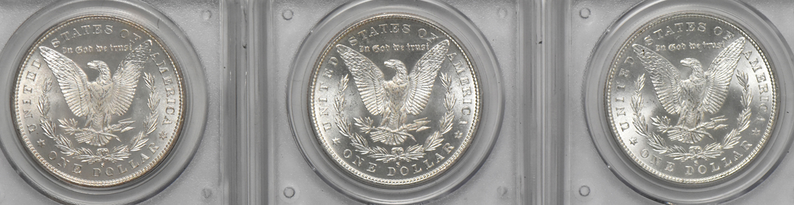 Seven Morgan dollars, all PCGS MS-64 (green label)