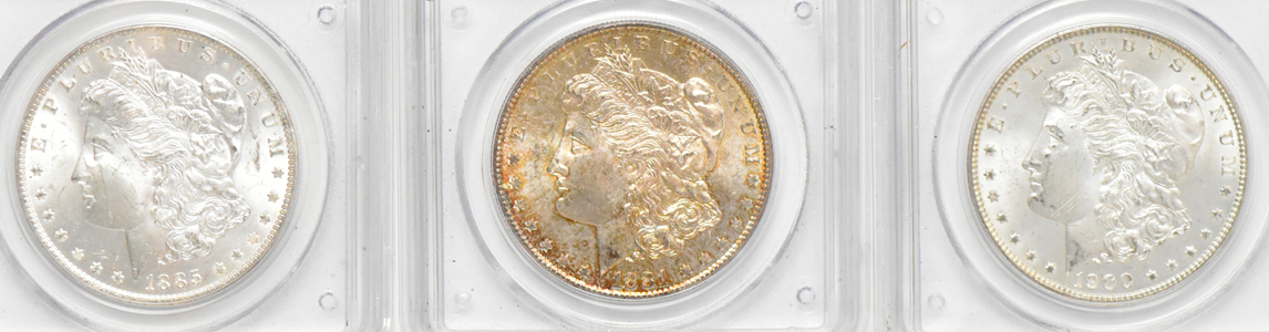 Seven Morgan dollars, all PCGS MS-64 (green label)