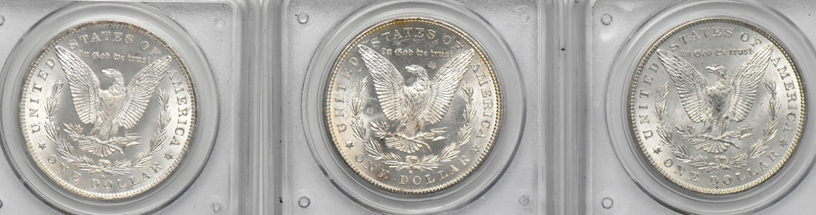 Seven Morgan dollars, all PCGS MS-64 (green label)