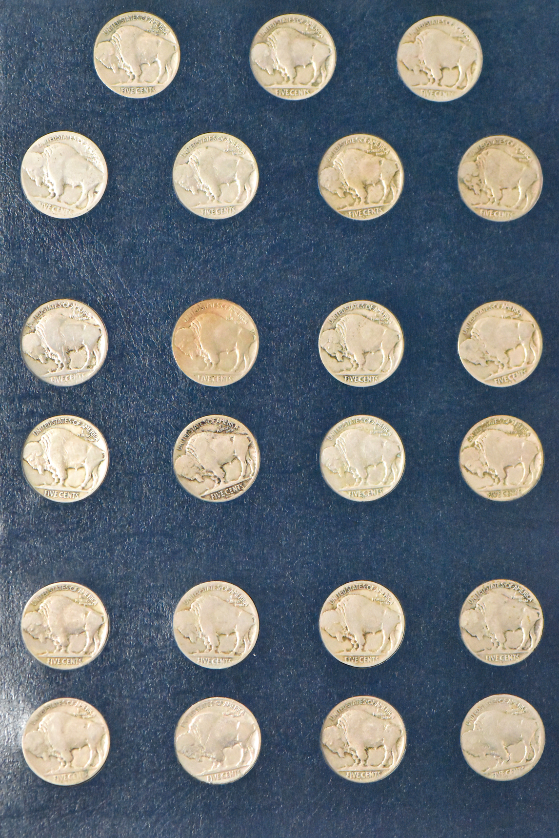 Collection of Buffalo nickels in a complete 9115 album