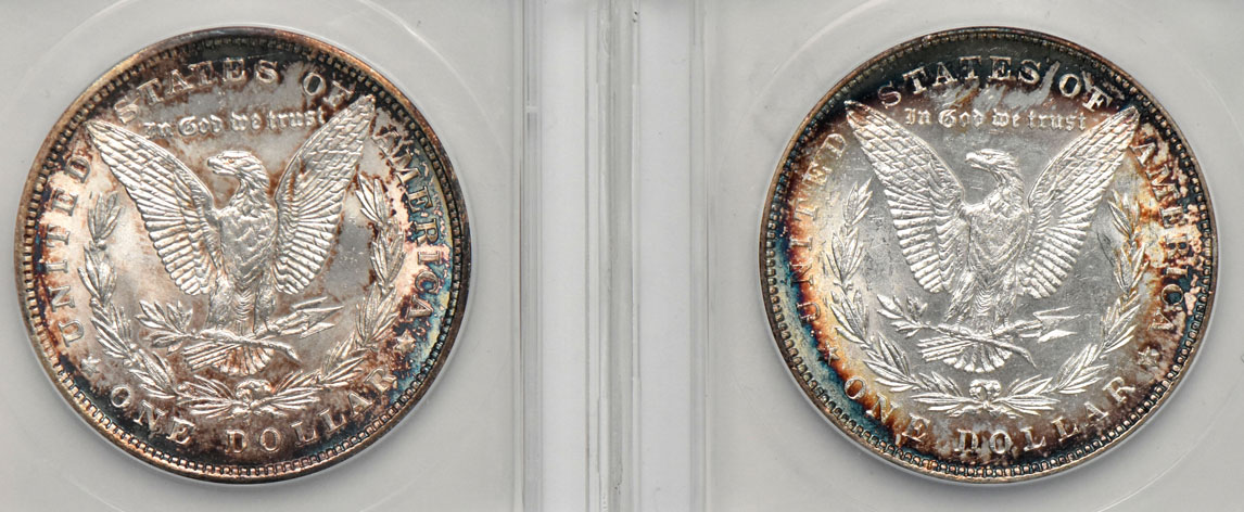 Five Uncirculated Morgan dollars certified  by ANACS