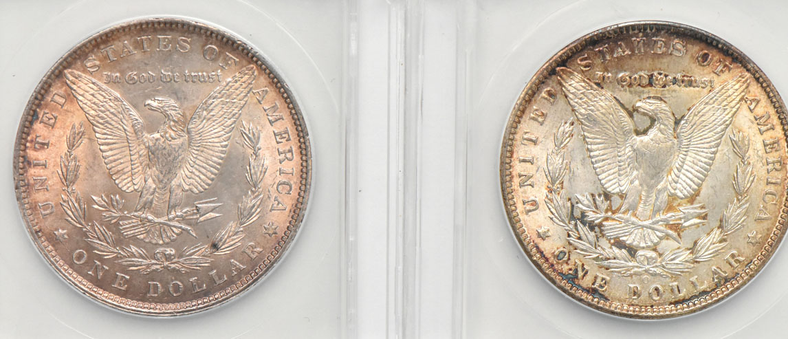 Five Uncirculated Morgan dollars certified  by ANACS