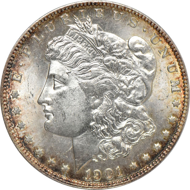 Five Uncirculated Morgan dollars certified  by ANACS