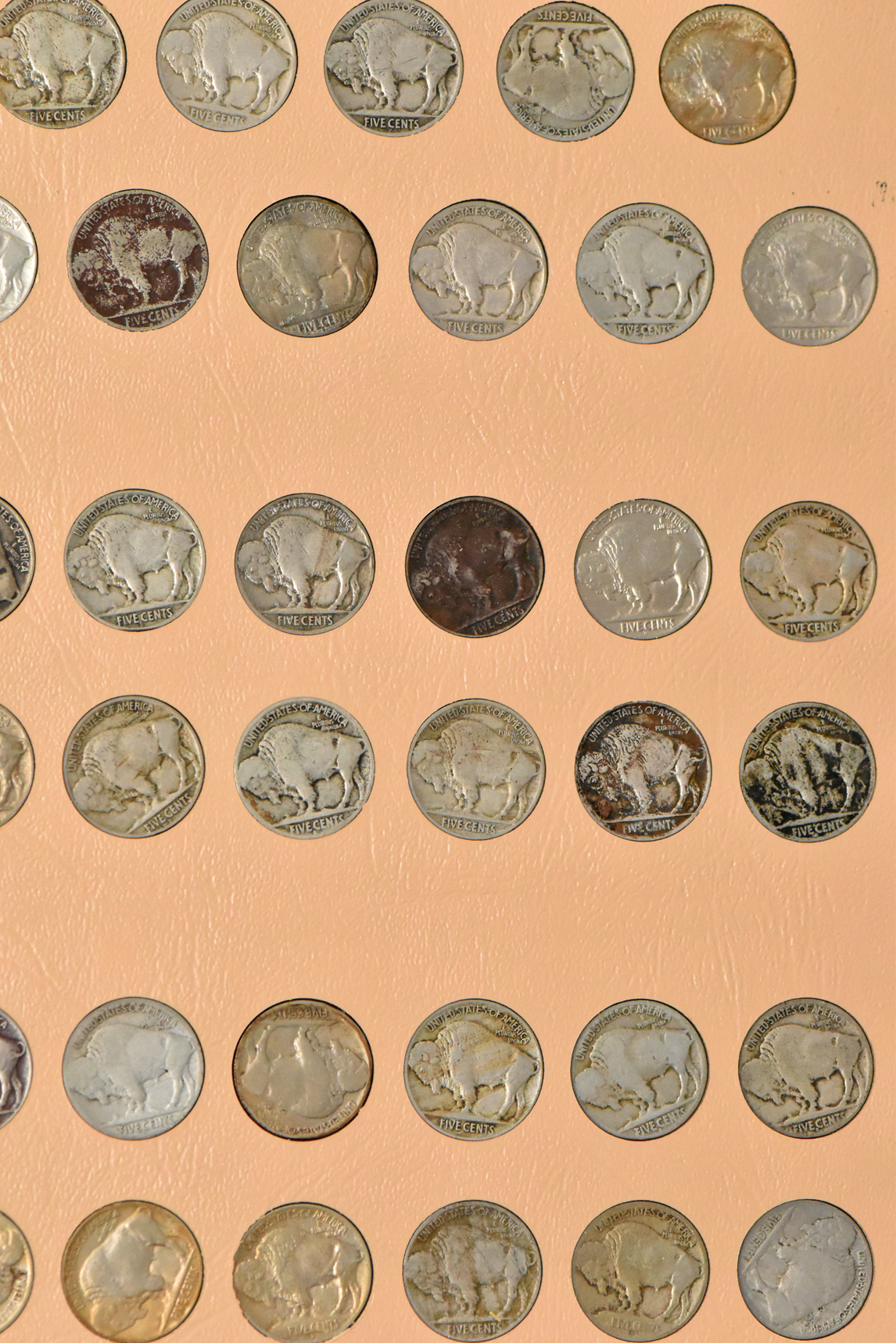 Huge nickel collection including Liberty nickels, Buffalo nickels, and Jefferson nickels in a single Dansco 7110 album