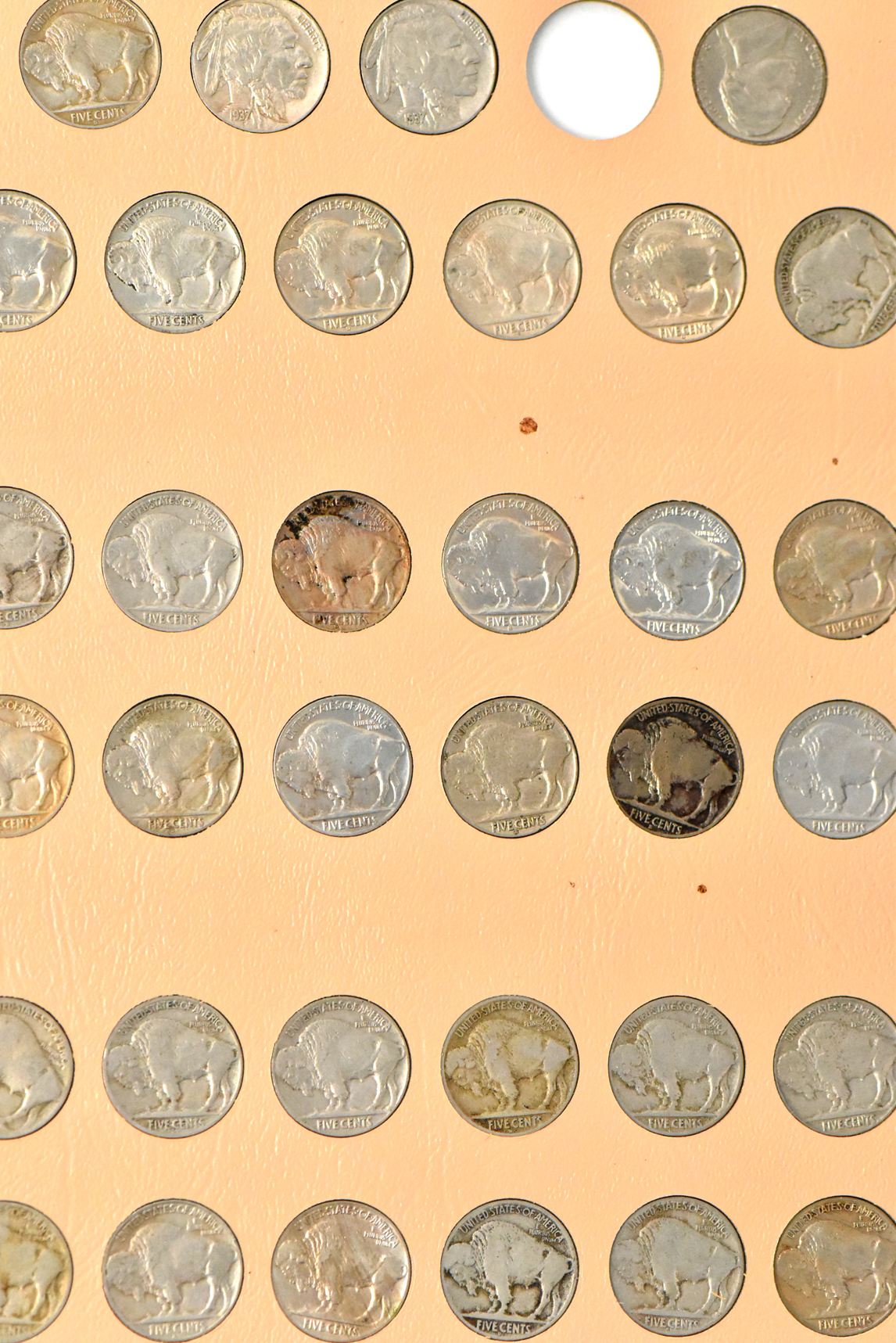 Huge nickel collection including Liberty nickels, Buffalo nickels, and Jefferson nickels in a single Dansco 7110 album