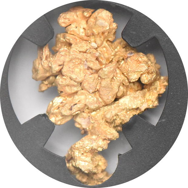 Arizona 12.47g Gold Nugget