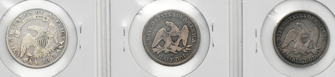 Fifteen 19th century half dollars