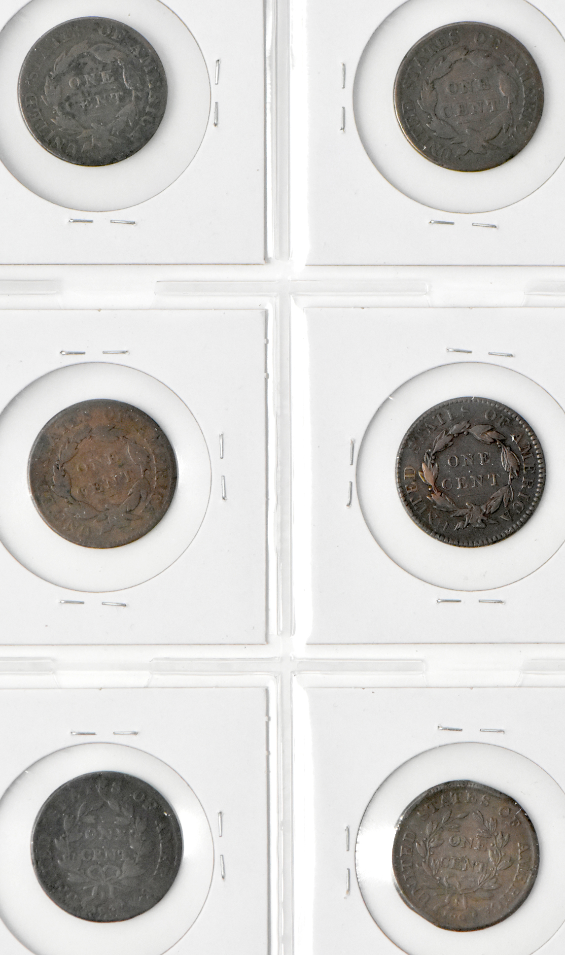 Two half cents and 15 large cents