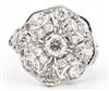 Platinum Diamond Ring