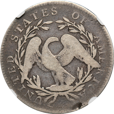 1795 O-110, R.3 NGC VG details/damaged