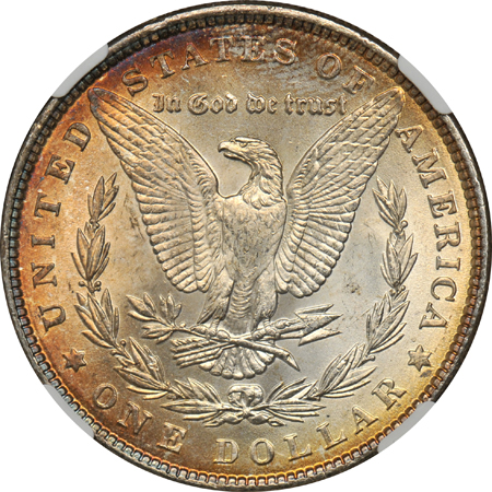 Eight toned Morgan dollars, all NGC MS-64