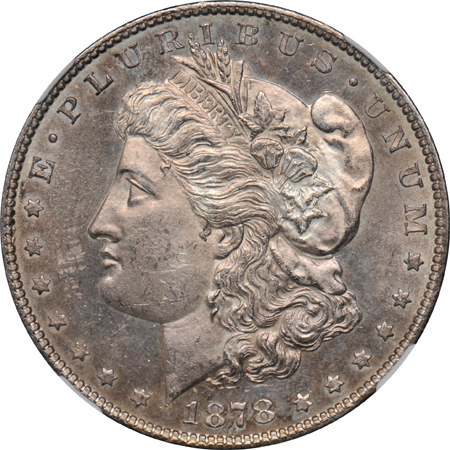 Seven NGC certified Morgan dollars
