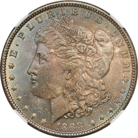 Seven toned Morgan dollars graded MS-64 by NGC