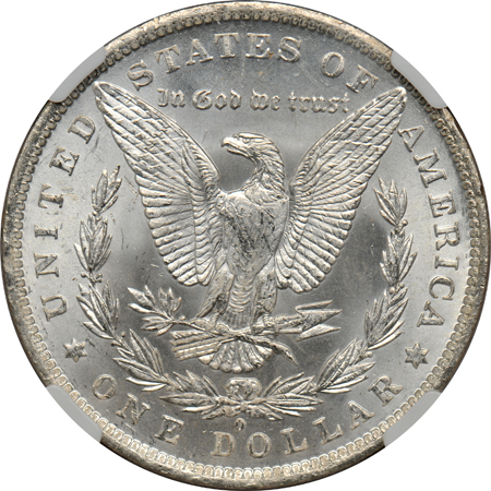 Thirteen Morgan dollars certified MS-64+ by NGC