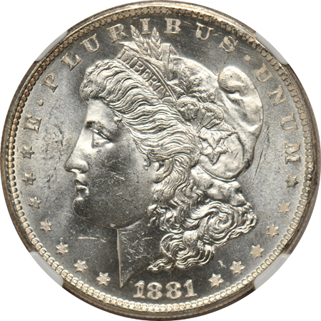 Twenty Morgan dollars certified MS-64 by NGC