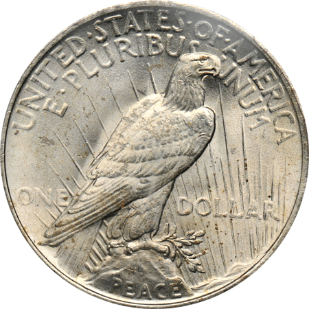 Eight 1922, all PCGS MS-64+