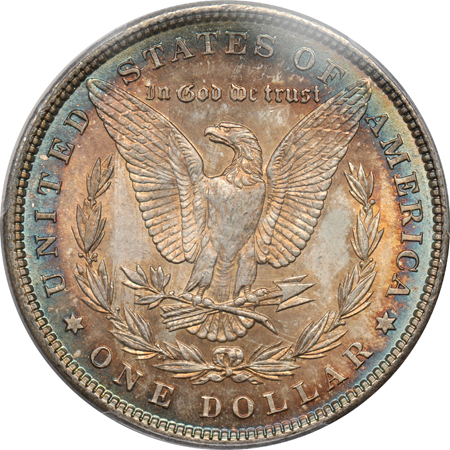 Collection of 16 Morgan and Peace dollars certified by PCGS