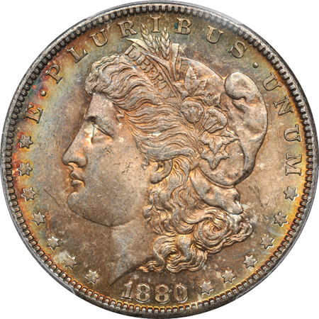 Collection of 16 Morgan and Peace dollars certified by PCGS