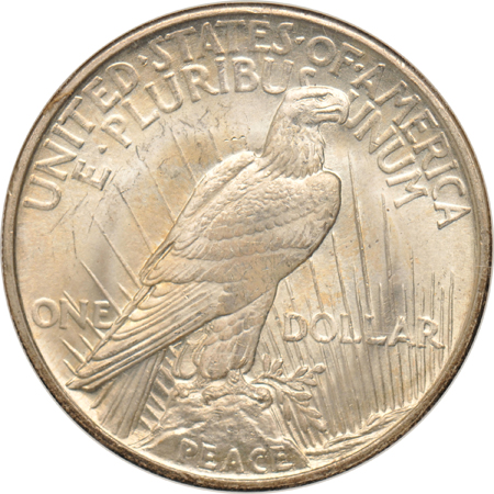 1921 Peace, High Relief, VAM-3, Ray Through "L" NGC MS-65