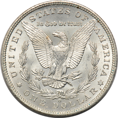 Collection of 33 raw Morgan silver dollars