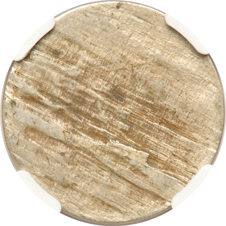 Split Planchet - 1889 NGC XF-45 (two slabs)