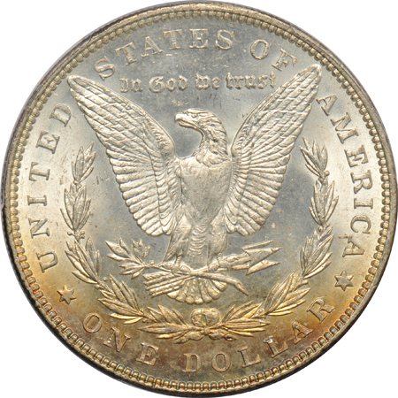Five Morgan dollars certified MS-65 (three with a plus)