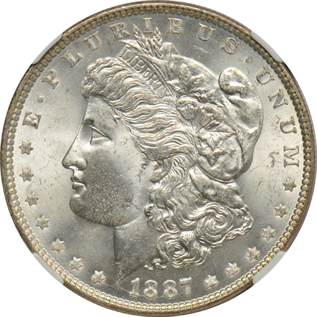 Five Morgan dollars certified MS-65 (three with a plus)