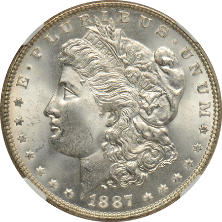 Five Morgan dollars certified MS-65 (three with a plus)