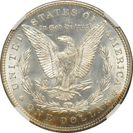 Group of thirteen certified UNC Morgan dollars