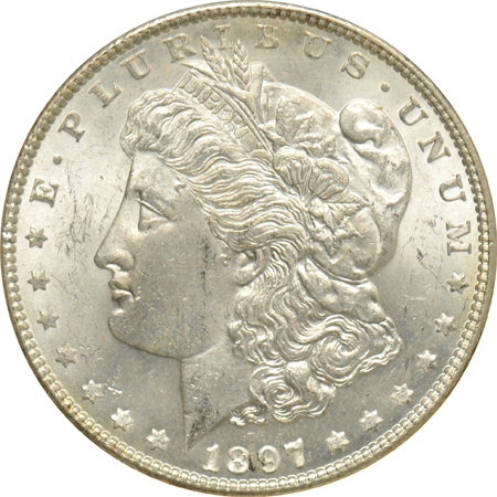 Sixteen Morgan silver dollars in PCI holders
