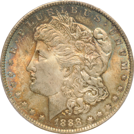 Fourteen Morgan silver dollars certified MS-64 by PCGS