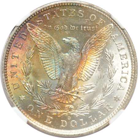 Six NGC certified UNC toned Morgan silver dollars