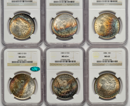 Six NGC certified UNC toned Morgan silver dollars