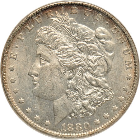 Six certified Morgan dollar VAMs, all NGC