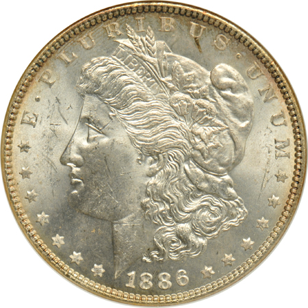 Seven ANACS certified Morgan dollar VAMs