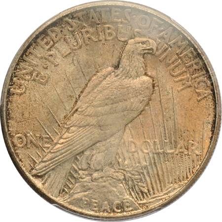 1921 Peace, High Relief PCGS MS-65 (shield)