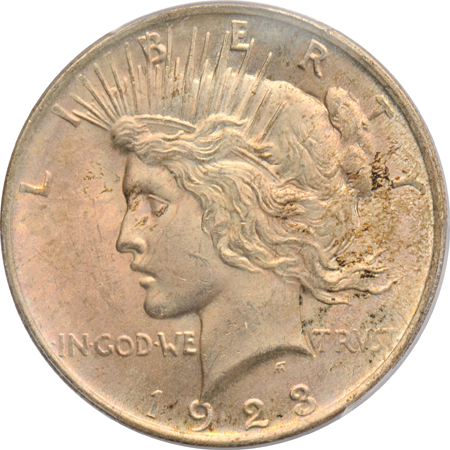 Seven Peace silver dollars certified MS-63 by PCGS