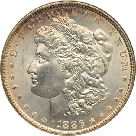 Five different Morgan silver dollars certified MS-65 by NGC