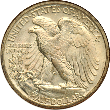 1884-O and 1904-O Morgan silver dollars, plus a 1944-D Walking Liberty half-dollar, all NGC MS-65 (no line)