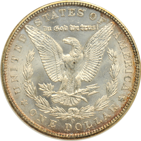 1884-O and 1904-O Morgan silver dollars, plus a 1944-D Walking Liberty half-dollar, all NGC MS-65 (no line)